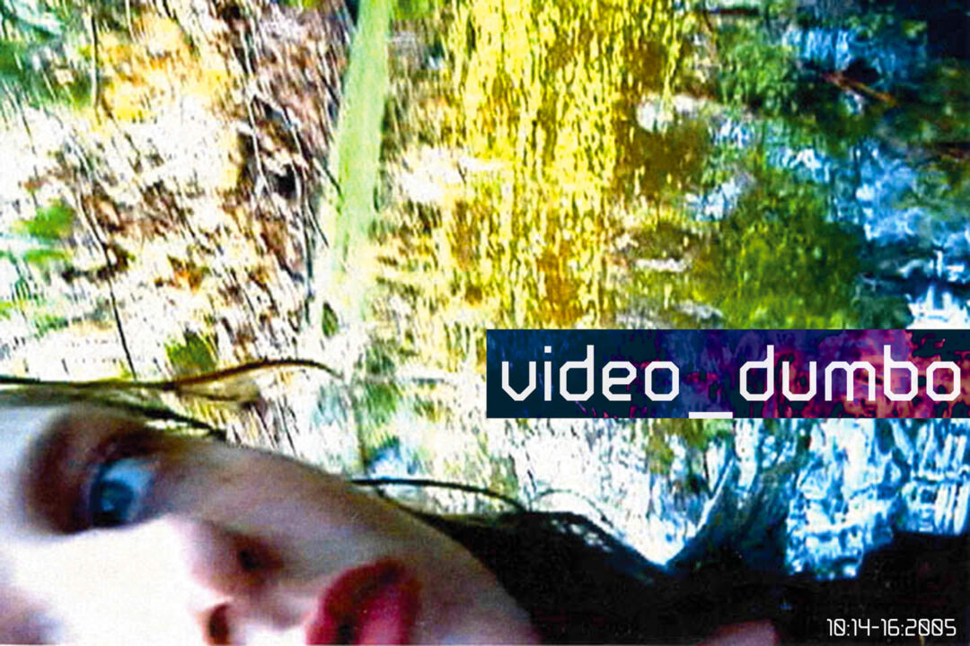 video_dumbo 2005