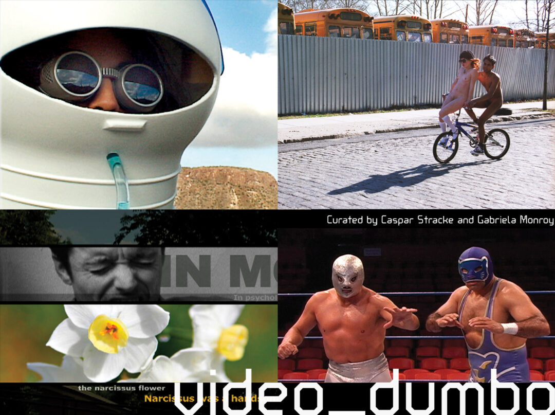 video_dumbo 2006