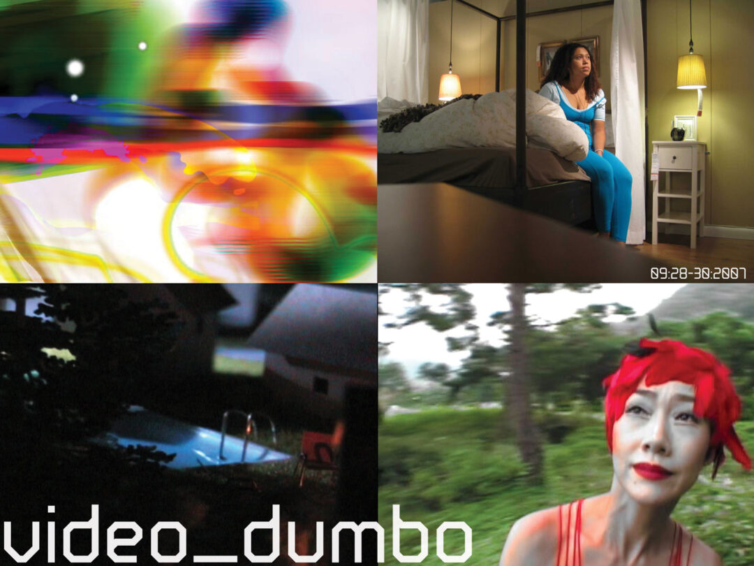 video_dumbo 2007