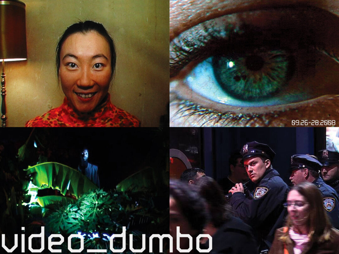 video_dumbo 2008