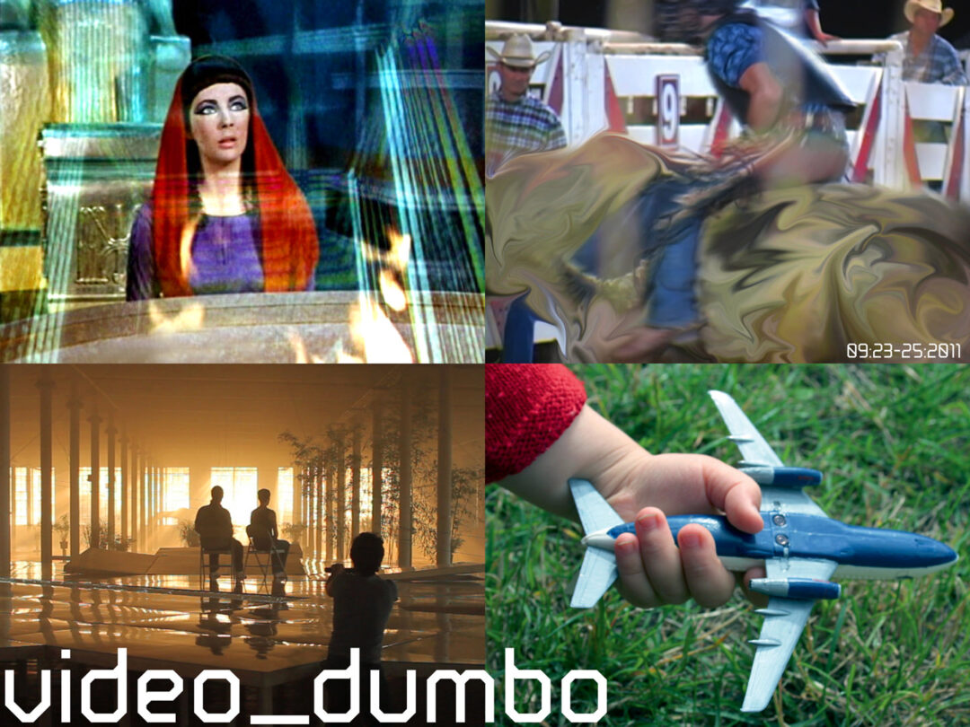 video_dumbo 2011