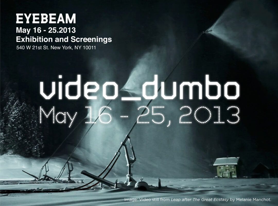 video_dumbo 2013